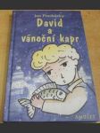 David a vánoční kapr - náhled