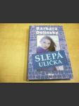 Slepá ulička - náhled