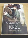 Za války, 1915: U domácího krbu - náhled