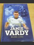 Jamie Wardy. Mlsná liška - náhled