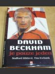 David Beckham je pouze jeden - náhled