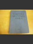 Stručná mluvnice česká. Pomocná kniha pro žáky 5.-8. roč. zakl. škol a pro studující při zaměstnání na školách II. cyklu - náhled