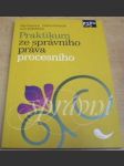 Praktikum ze správního práva procesního - náhled