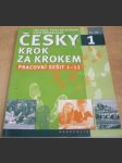 Česky krok za krokem 1. - Pracovní sešit Lekce 1-12 - náhled