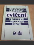 Mluvnická a slohová cvičení k stručné mluvnici české - náhled