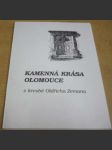 Kamenná krása olomouce v kresbě Oldřicha Zemana - náhled