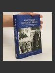 Apoštolský nuncius v Praze : významný faktor v československo-vatikánských vztazích v letech 1920-1950 - náhled