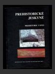 Prehistorické jeskyně - náhled