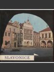 Slavonice (edice Památky - Městská památková rezervace) - náhled