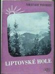 Liptovské hole - náhled