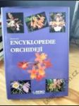 Encyklopedie orchidejí - náhled