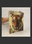 Tigers. A Look Into the Glittering Eye - náhled