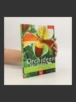 Orchideen für jeden - náhled