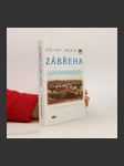 Dějiny města Zábřeha od nejstarších časů až do roku 1900 - náhled