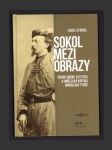 Sokol mezi obrazy: Teorie umění, estetika a umělecká kritika Miroslava Tyrše - náhled