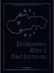 Encyklopédia miest a obcí slovenska - náhled