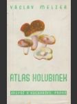 Atlas holubinek - náhled