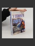 V ledovém zajetí : příběh ženy a jejího neuvěřitelného boje s rakovinou na jižním pólu - náhled