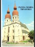 Panna Mária Trnavská - náhled