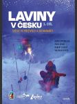 Laviny v česku 1 - náhled