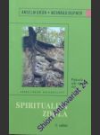 Spiritualita zdola - grün anselm/ dufner meinrad - náhled