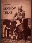 Odchov telat - náhled