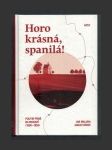 Horo krásná, spanilá!: Poutní písně na Moravě (1600-1850) - náhled