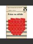 Práce na střeše (tesařství, klempářství) - náhled