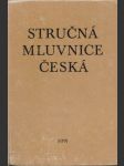 Stručná mluvnice česká - náhled