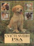 Cvičte svého psa - náhled