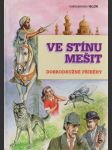 Ve stínu mešit - dobrodružné příběhy - náhled