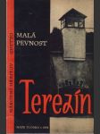 Malá pevnost Terezín - náhled