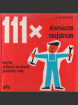 111x domácim majstrom. Hračky, úžitkové predmety, praktické rady - náhled