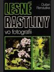 Lesné rastliny vo fotografii - náhled