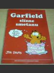 Garfield slízne smetanu - náhled