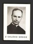 Z celého srdce - náhled