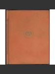 Winde von Mittag nach Mitternacht. In deutscher Nachdichtung von Emil Saudek und Franz Werfel [= Drugulin-Drucke; 9] [Větry od pólu, německý překlad] - náhled