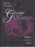 Gabrielův očistec. Hříšné odstíny vášne II. - náhled