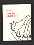 Žvýkání jader - náhled