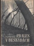 Prales v Beskydách - Tištěno hlubotiskem - náhled