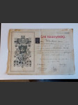 List tovaryšský - Hlavní město Praha 1924 Krejčí (741024) DOK2 - náhled