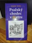 Pražský chodec v metru - náhled