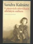 V plesových střevíčkách sibiřským sněhem - náhled