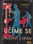 Učíme se pracovat s kovem - základní znalosti práce a vědění - náhled