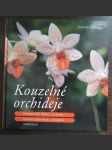 Kouzelné orchideje - náhled