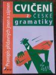 Cvičení z české gramatiky (pravopis přídavných jmen a zájmen) - náhled