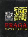 Praga mater urbium - náhled