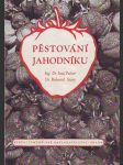 Pěstování jahodníku - náhled