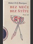 Bez meče, bez štítu - náhled