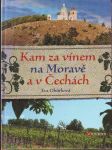 Kam za vínem na moravě a v čechách - náhled